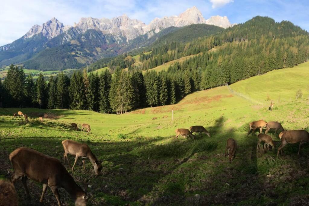 Sunny Apartment Maria Alm Bagian luar foto